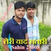 Teri Yaad Satari Sahin 28008